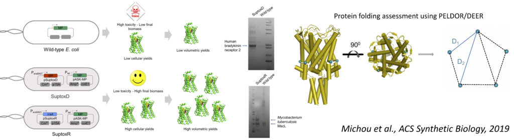 Paper In ACS Synthetic Biology - Pliotas Group